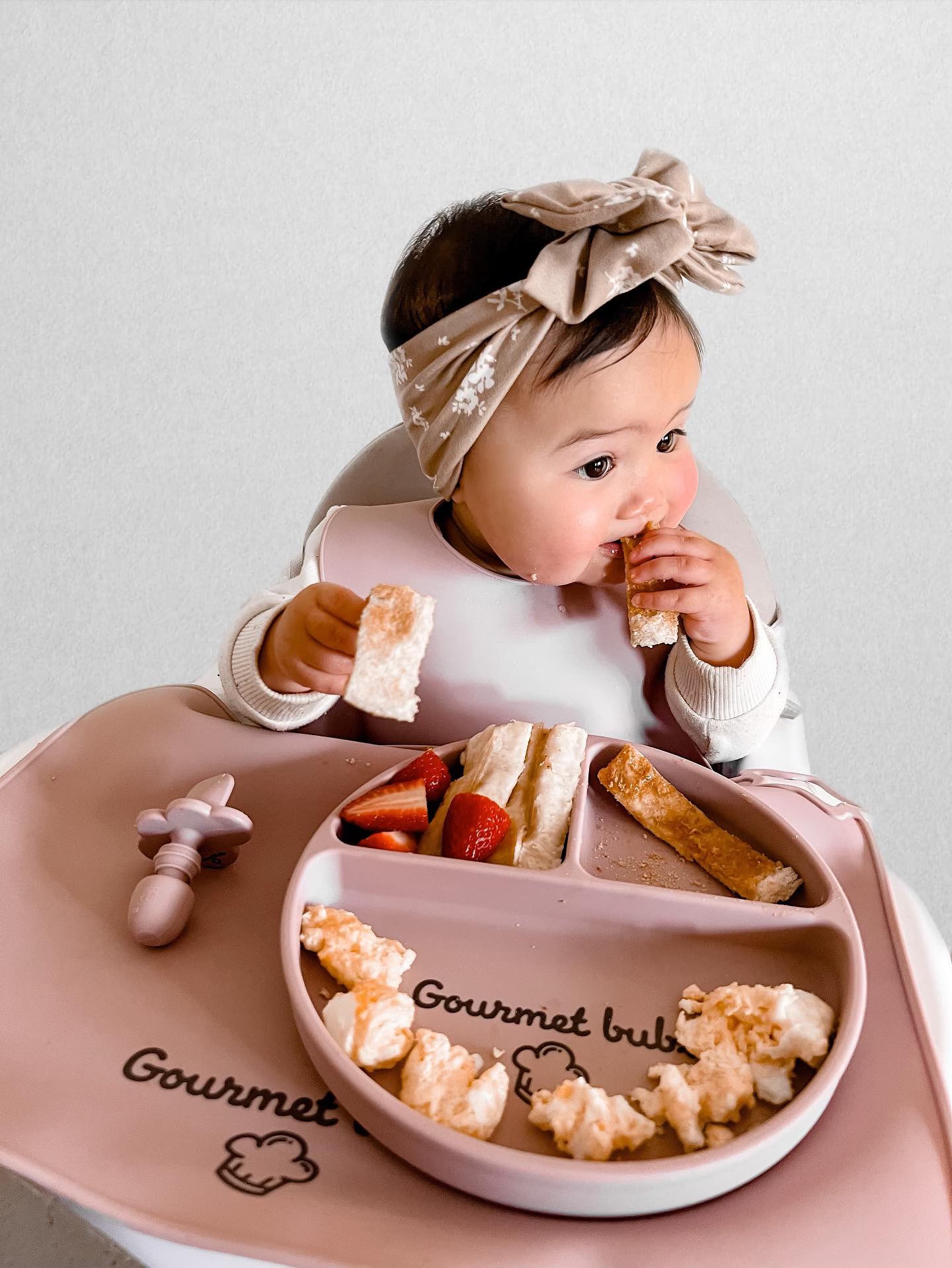 Gourmet Bubs All in One Pack - Pale Mauve